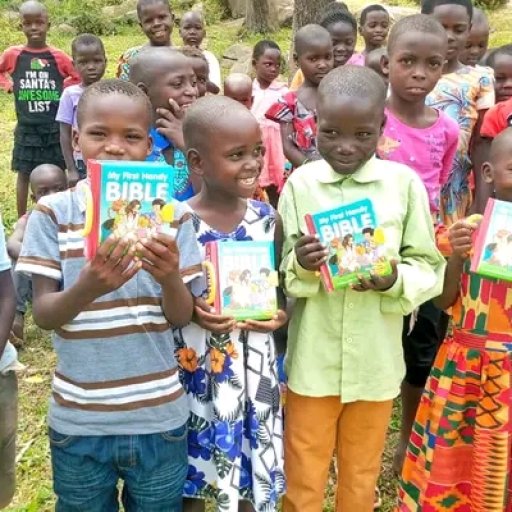 A Bible for Every Child: Illuminate Their Journey.